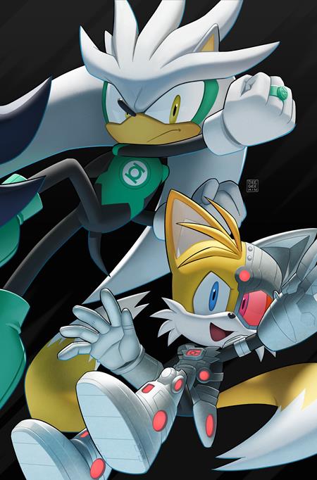 DC X Sonic The Hedgehog #1 - #5 Connecting Covers SHIPS 4/29/26