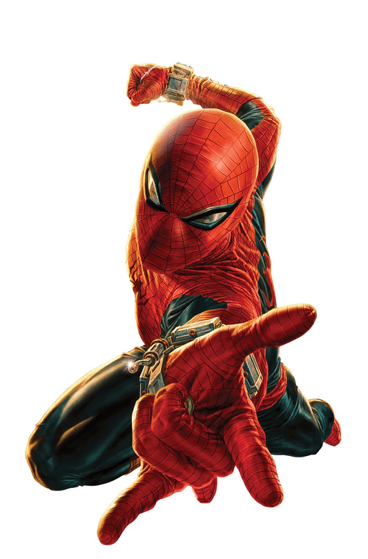 Spider-Man: Amazing Visions By Lee Bermejo Poster SHIPS 10/7/26